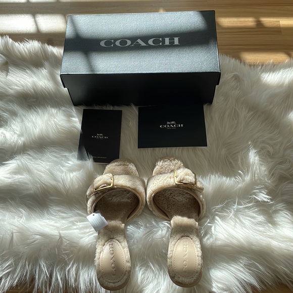 Coach shearling buckle mule - NWT - Picture 1 of 10